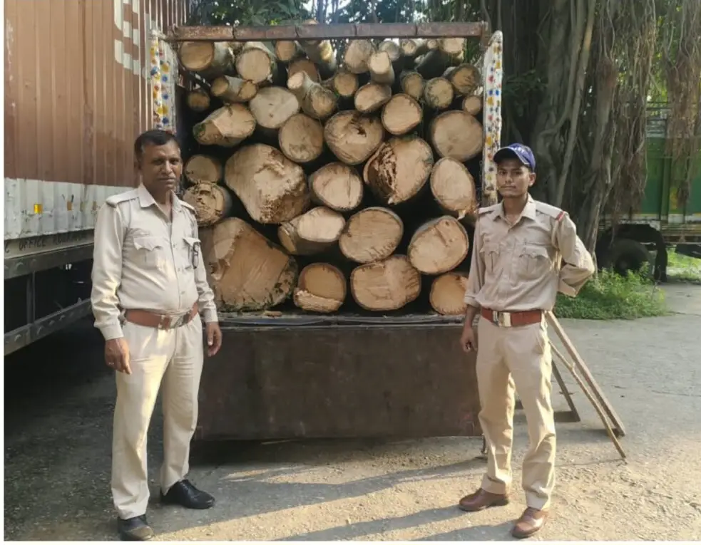 लालकुआं की ओर से आ रहा अवैध लकड़ी से भरा पिकअप वाहन पकड़ा, चालक फरार