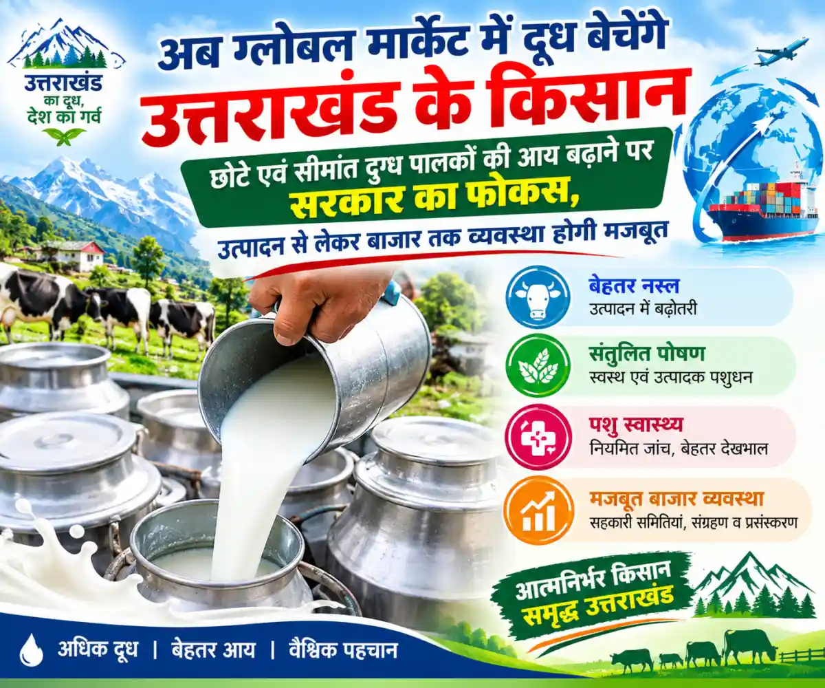 (ब्रेकिंग न्यूज)  ग्लोबल मार्केट में दूध बेचेंगे उत्तराखंड के किसान छोटे एवं सीमांत दुग्ध पालकों की आय बढ़ाने पर सरकार का फोकस, उत्पादन से लेकर बाजार तक व्यवस्था होगी मजबूत